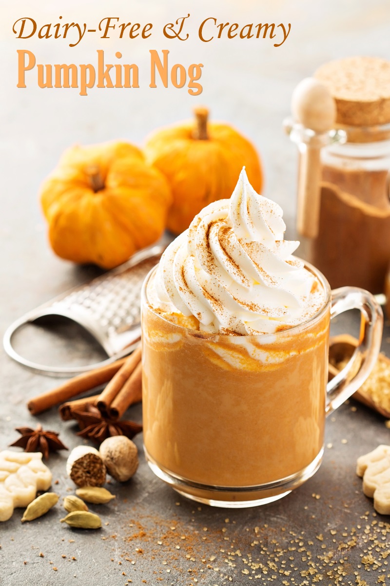 Dairy-Free Pumpkin Nog Recipe - rich, creamy, and optionally vegan. Also soy-free and optionally nut-free. Tastes like pumpkin pie in a glass!