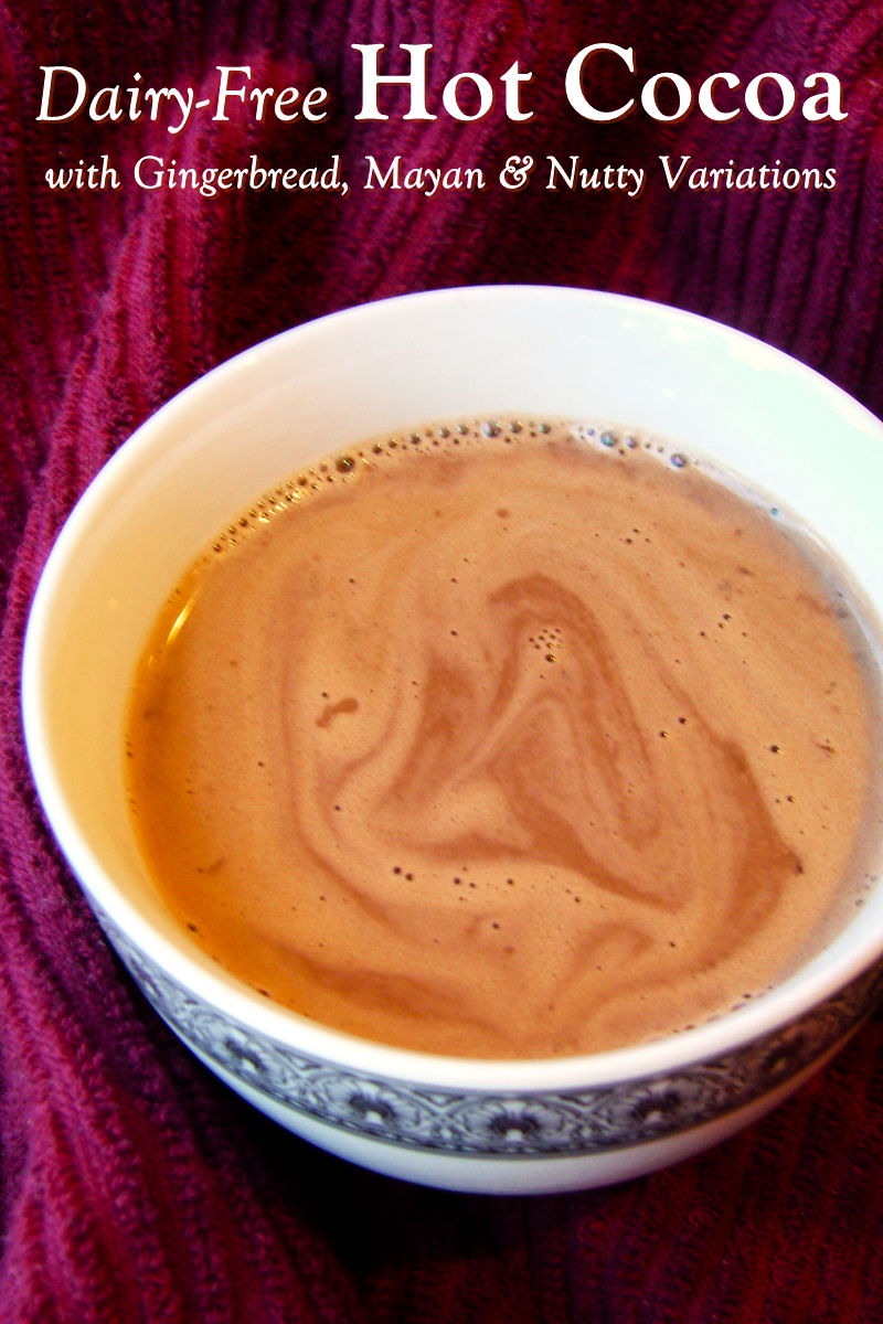Dairy-Free Hot Cocoa Recipe - Basic Recipe made with Water! Includes Creamier and Milkier options, plus favor variations: Gingerbread, Mayan, and Nutty