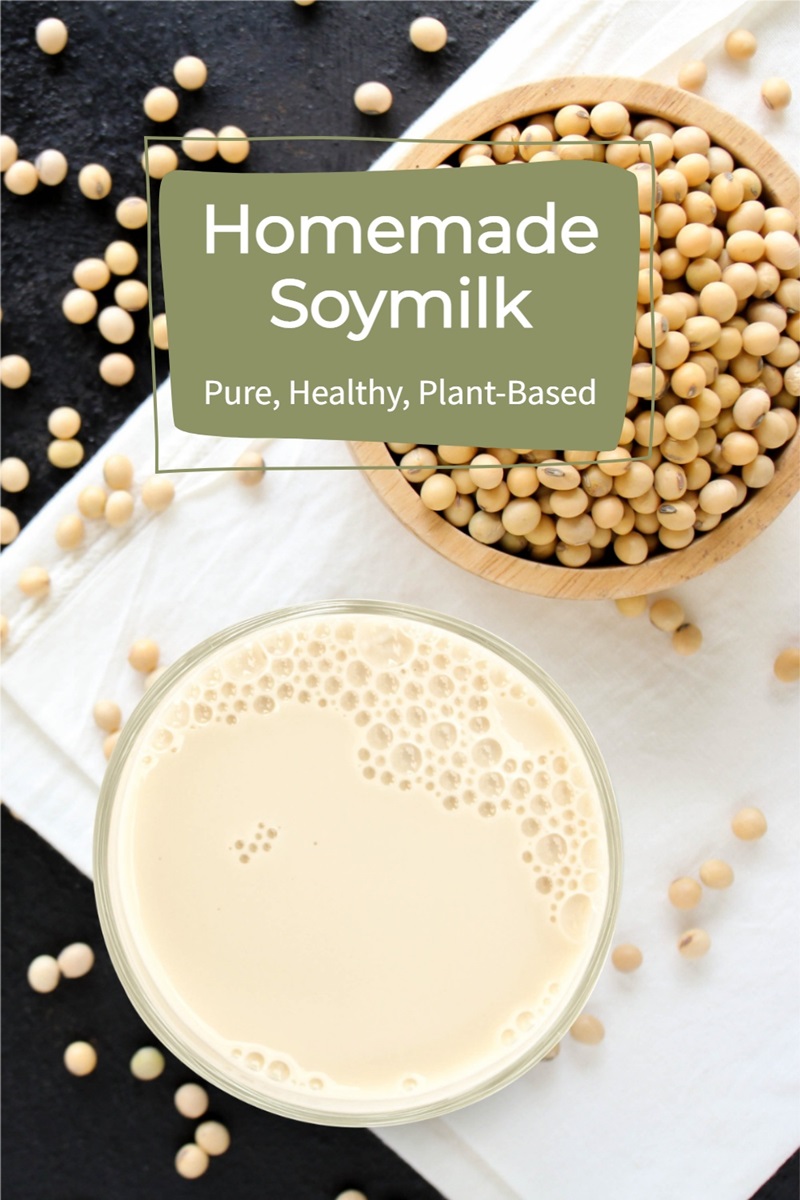 Homemade Soymilk Recipe - naturally plant-based, dairy-free, nut-free, and vegan.  Healthy, cheap, and pure!