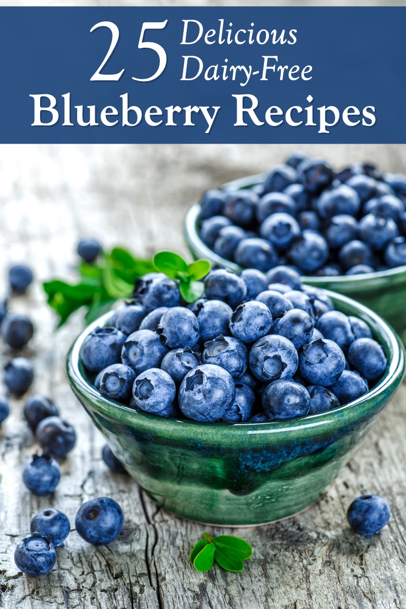 25 Best Dairy-Free Blueberry Recipes to Enjoy this Season with gluten-free and vegan options