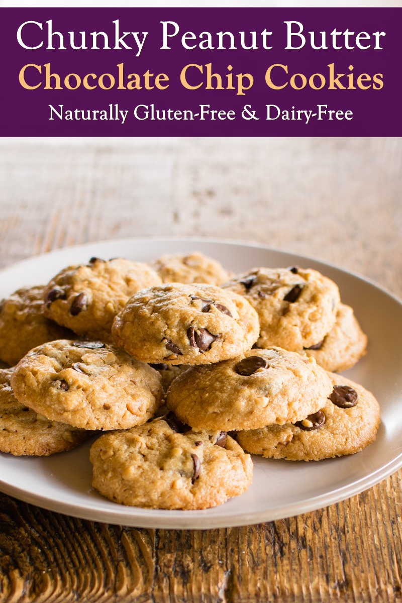 Peanut Butter Crunchy Peanut Butter Chocolate Chip Cookies Recipe - Naturally Flour-Free, Gluten-Free, Grain-Free, Soy-Free, and Dairy-Free! 