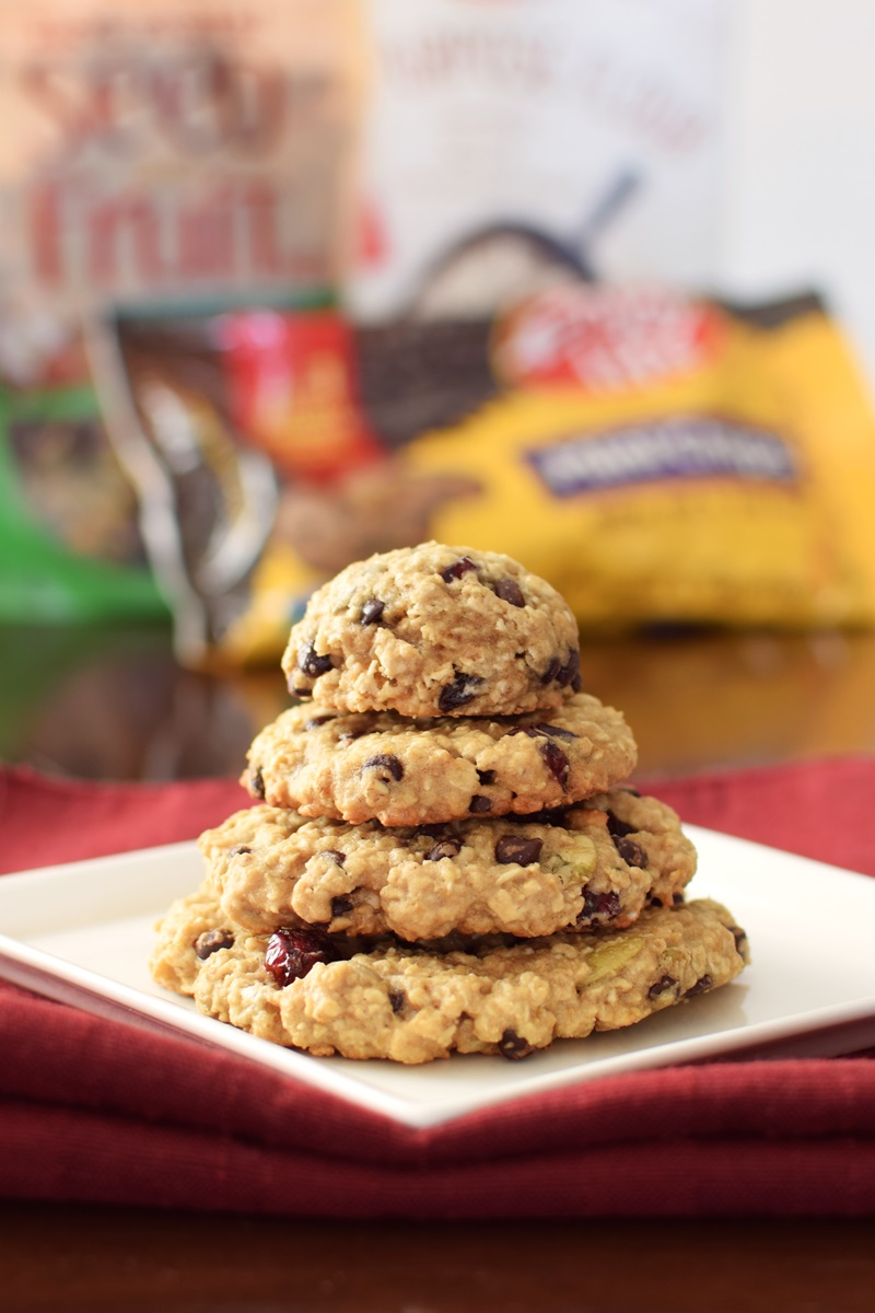 Cranberry Chocolate Chip Oatmeal Cookies Recipe - dairy-free, gluten-free, vegan, allergy-friendly and yummy!