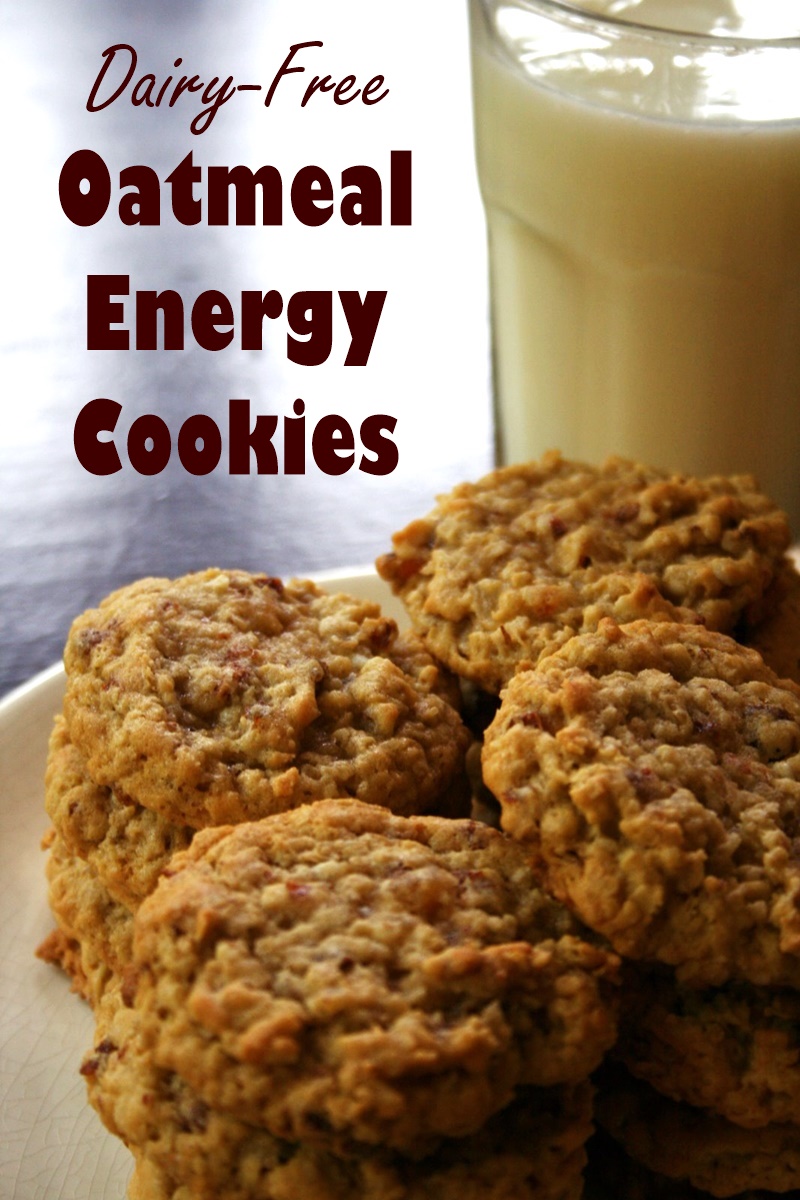 Oatmeal Energy Cookies Recipe - A dairy-free favorite for conventions, when everyone needs energy on the go!