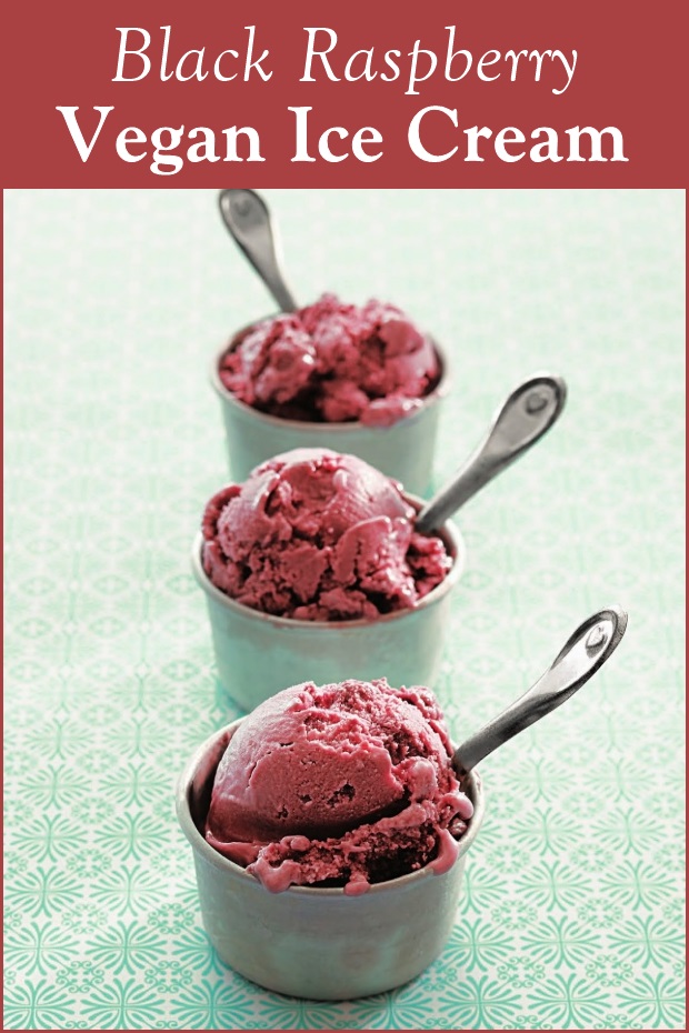 Black Raspberry Vegan Ice Cream Recipe - dairy-free, egg-free, gluten-free, nut-free, and optionally soy-free