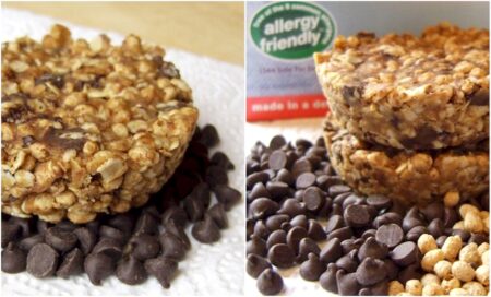 Chocolate Chip Flax and Oat Bars Recipe - gluten-free, dairy-free, optionally nut-free, soy-free, and optionally vegan. Fast, easy, DELICIOUS!