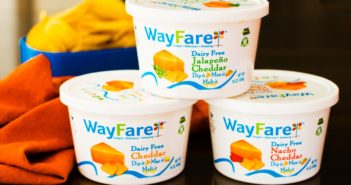Wayfare Dairy Free Cheese Review - Cheddar-Style Tubs that taste like Velveeta! Vegan, nut-free, soy-free