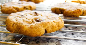 Naturally Vegan and Gluten-Free Peanut Butter Chocolate Chip Cookies Recipe. Easy, Family-Friendly, and Safe Dough to nibble on!