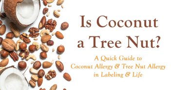Is Coconut a Tree Nut? Your Guide to the Complete Answer