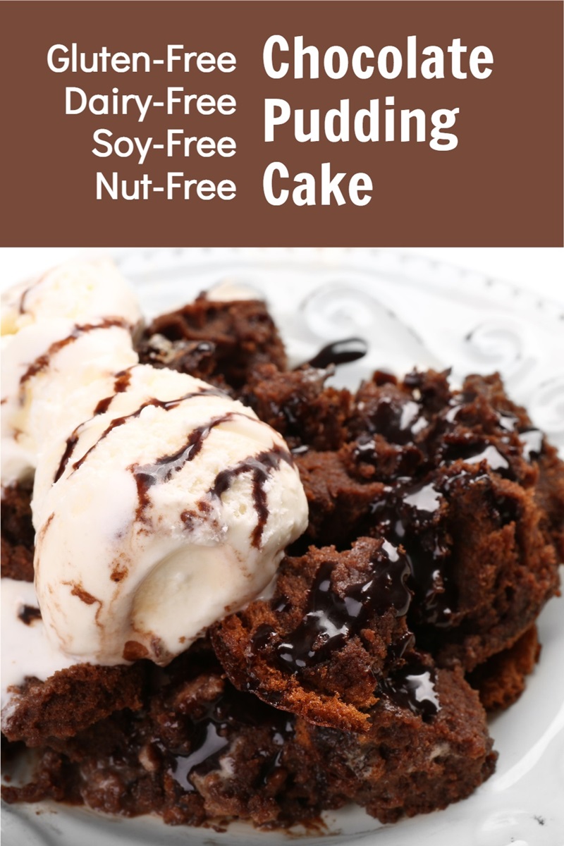 Gluten-Free Chocolate Pudding Cake Recipe - double the chocolate! Also dairy-free, egg-free, nut-free, and soy-free
