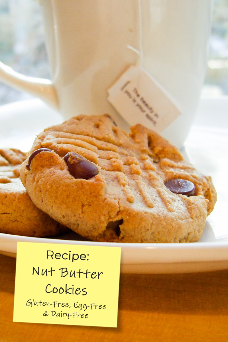Gluten-Free Nut Butter Cookies Recipe with Chocolate Chips - also dairy-free, egg-free, with options for vegan, soy-free, nut-free, and peanut-free!