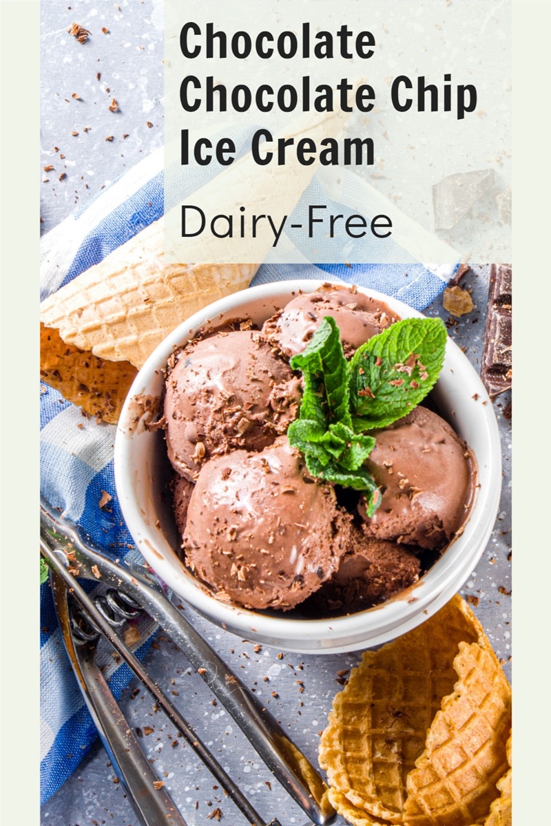 Dairy-Free Chocolate Chip Chocolate Chip Ice Cream Recipe with Straciatella-Style Flakes - vegan and soy-free too!