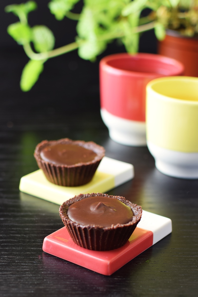 Two-Bite Chocolate Mint Fudge Tartlets Recipe - no bake, dairy-free, gluten-free, vegan and allergy-friendly