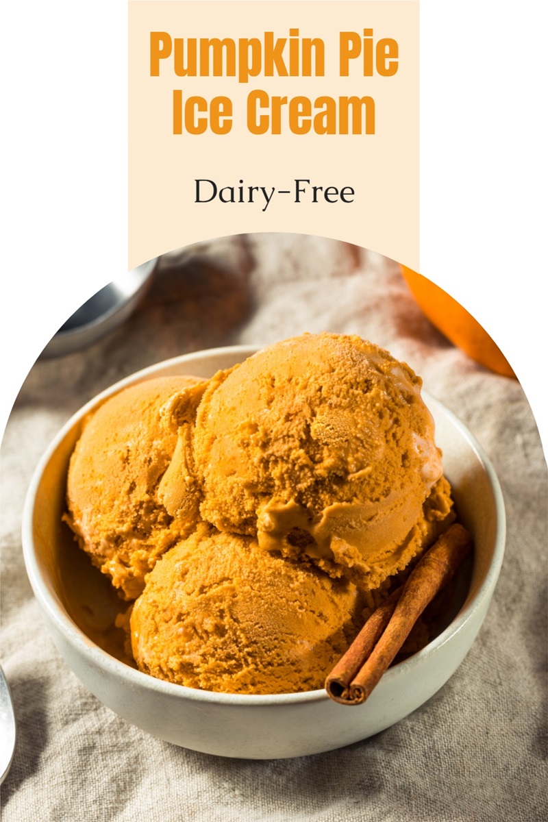 Dairy-Free Pumpkin Pie Ice Cream Recipe - naturally gluten-free, soy-free, nut-free, and vegan friendly!