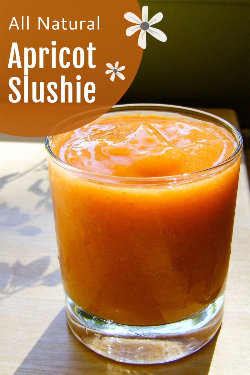 Fresh Apricot Slushie Recept - koel, verfrissend en smaakvol.  Natuurlijk allergievriendelijk, plantaardig en paleo optioneel