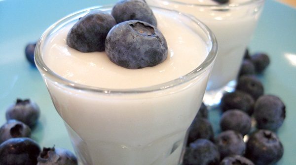 homemade non dairy yogurt