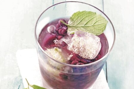 Wild Blueberry Soda Recipe