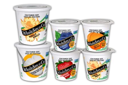 WholeSoy & Co. Vegan Yoghurt in Canada