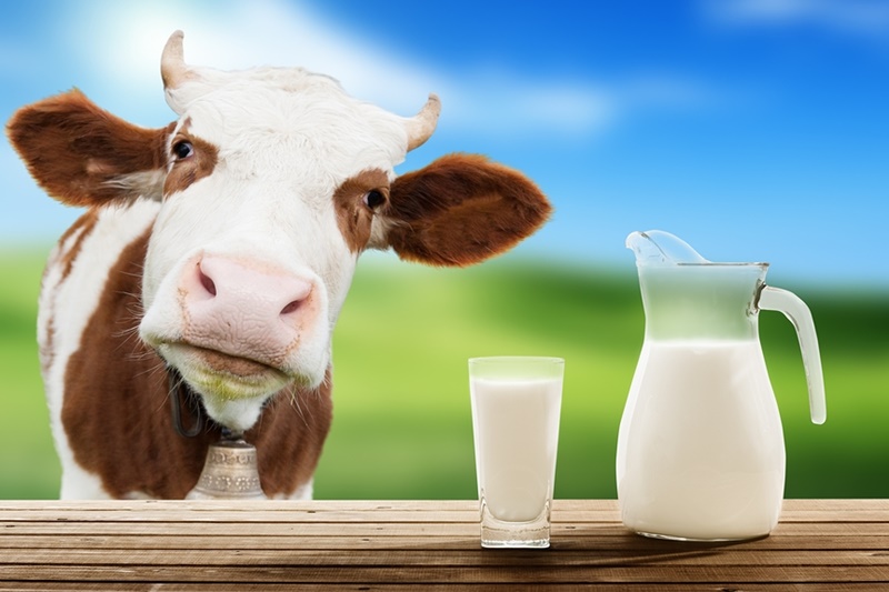 Dairy-Free Benefits - The Top 10 Reasons to Go Dairy Free - Animal Welfare, the Environment + Avoiding Added Hormones and Antibiotics