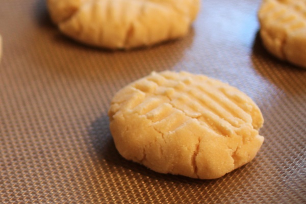Savory Coconut Flour Biscuits: Dairy-Free, Optionally Gluten-Free, Vegan