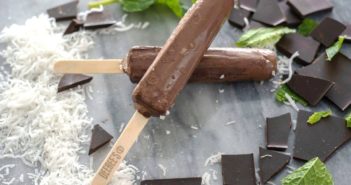 DeeBee's Fruit Pops Reviews and Info - Dairy-Free Chocolate Fudge Bar Pictured
