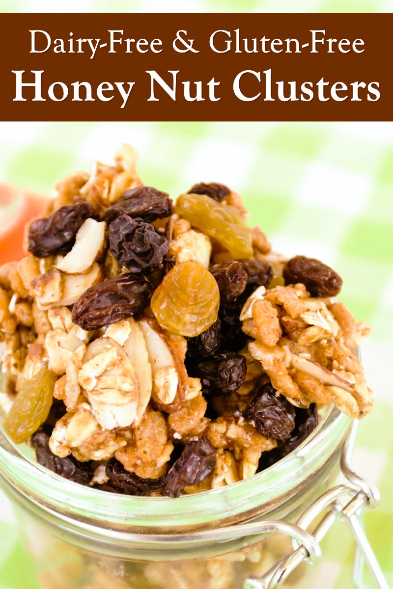 Honey Nut Clusters Snack Recipe (Dairy-Free & Gluten-Free) - healthy, plant-based, with lightly chewy and crunchy options