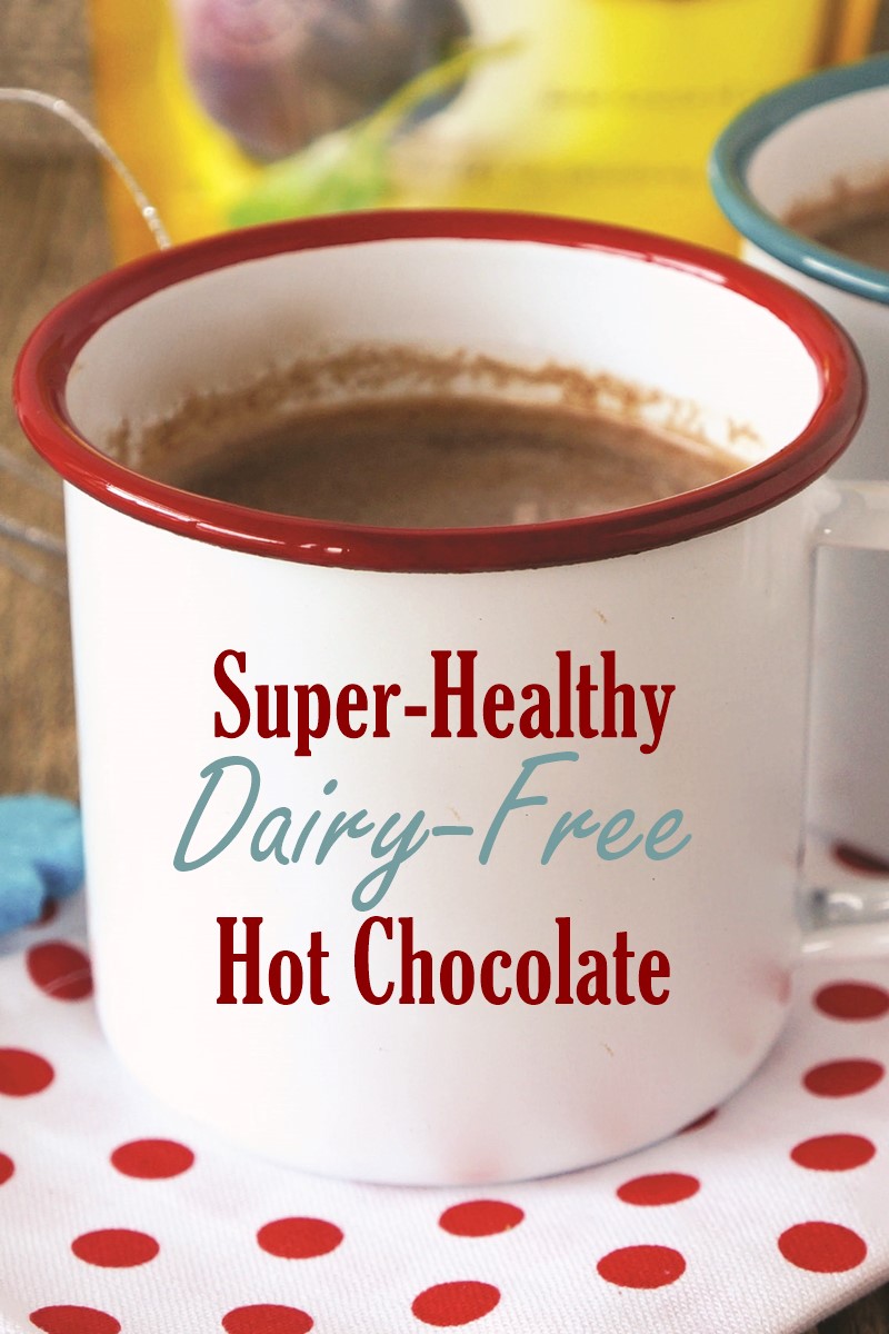Nourishing Spiced Hot Chocolate Recipe - Dairy-free, Vegan Optional & Great for a Healthy Gut! 