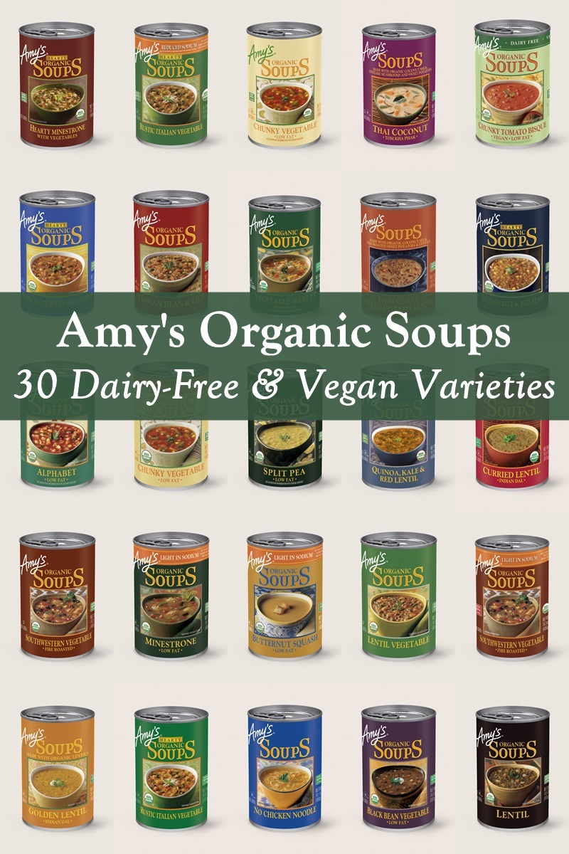 Amy's Organic Soups Reviews and Info - 30 Dairy-Free and Vegan Varieties