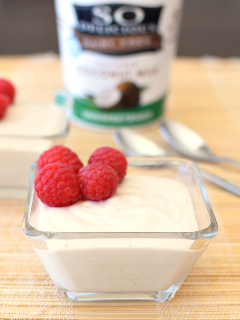 Healthy Yogurt Mousse: my go-to treat! So rich, so creamy, so perfectly sweet, yet low sugar and completely dairy-free, gluten-free, soy-free and vegan! 