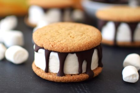 S'mores Ice Cream Sandwiches - with homemade dairy-free marshmallow ice cream. The recipe is even gluten-free, top food allergy-friendly and vegan optional.