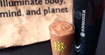 Sunwarrior Illumin8 Plant-Based Organic Meal with 8 Building Blocks of Nutrition - dairy-free, vegan, raw superfoods for smoothies! (Snake Eyes Carob Smoothie pictured)