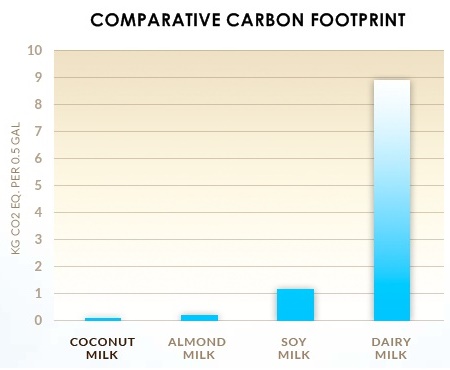Making the Most Sustainable Smoothie - choosing dairy-free significantly reduces the carbon footprint.