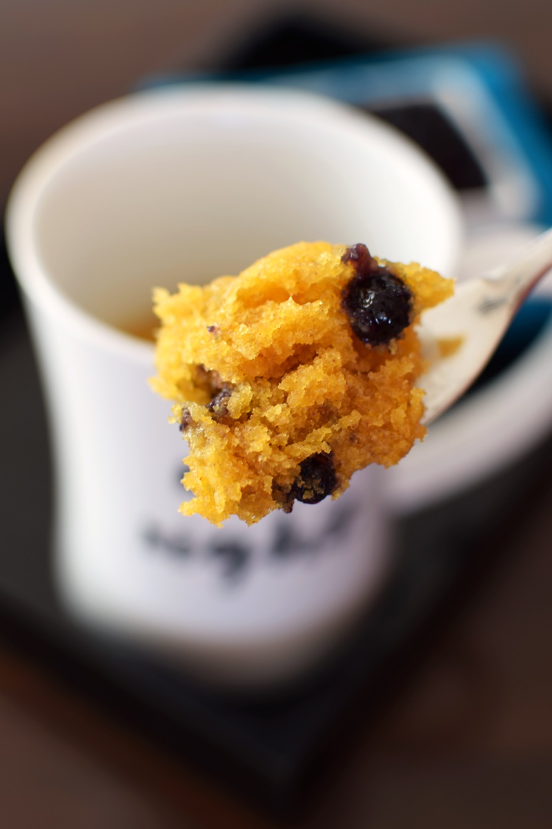 Wild Blueberry Pumpkin Mug Cake Recipe (Vegan + Gluten-Free Optional)