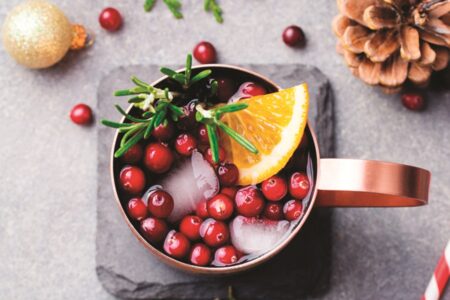 Cranberry Moscow Mule Recipe - a delicious cocktail with a festive twist