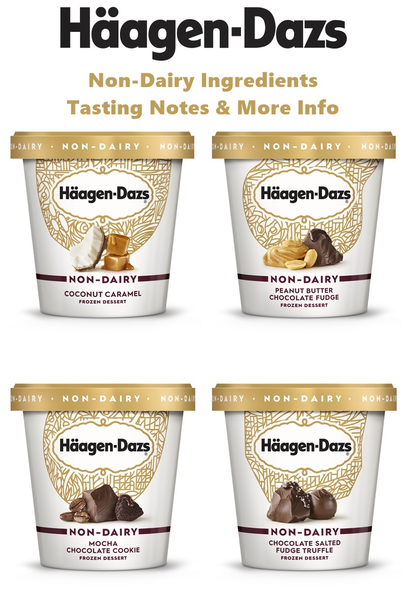 Haagen Dazs Non-Dairy Frozen Dessert - Ingredients, Allergen Info, Tasting Notes & More for each Dairy-Free, Vegan Pint!