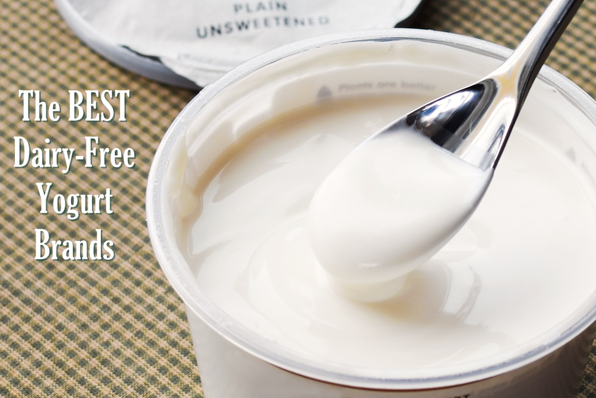 The 10 Best Dairy-Free Yogurt Brands - all vegan, carrageenan-free, and gluten-free with nut-free, soy-free, coconut-free, paleo, unsweetened, and organic options!