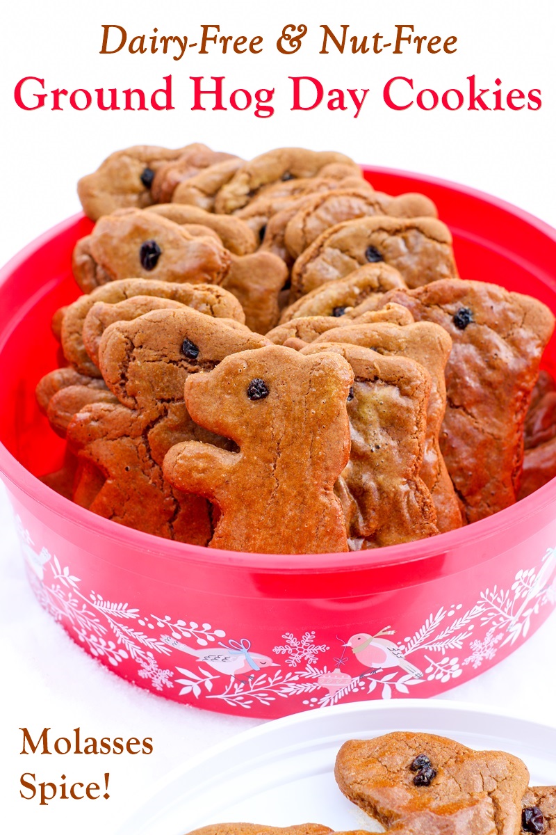 Dairy-Free Groundhog Day Cookies Recipe (Spiced Molasses!) to Make Punxsutawney Proud (fun kid-friendly recipe with nut-free and egg-free options)