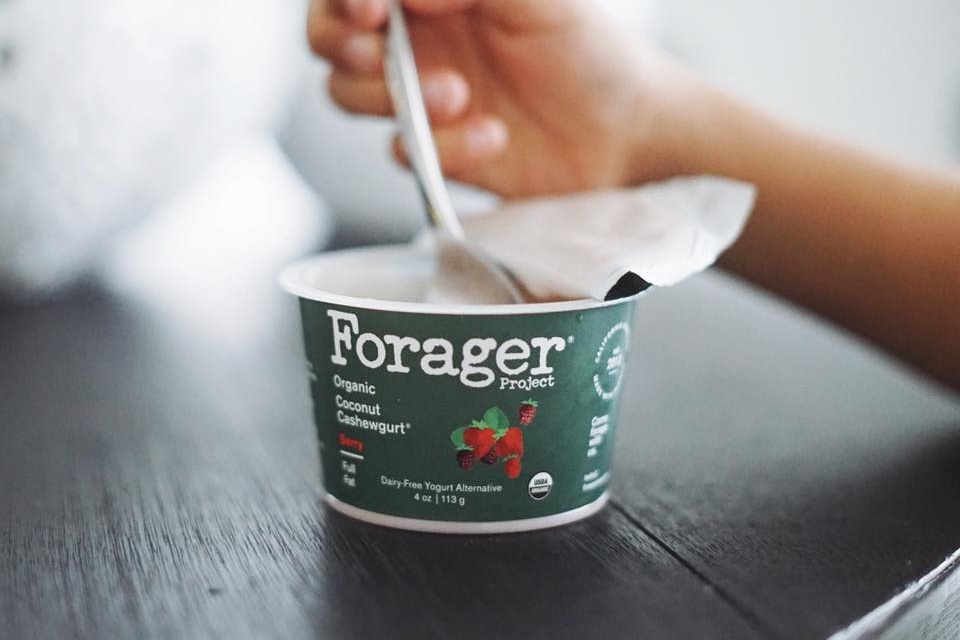 Forager Yogurt Review