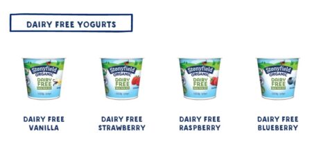 Stonyfield Organic Dairy Free Soy Yogurt Review and Information