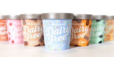 Hudsonville Dairy-Free Ice Cream in 7 Flavors - we have all the details!