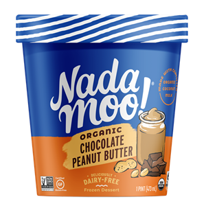 Nadamoo Dairy-Free Ice Cream Review and Information - now available in 18 flavors! All vegan, organic, and gluten-free.