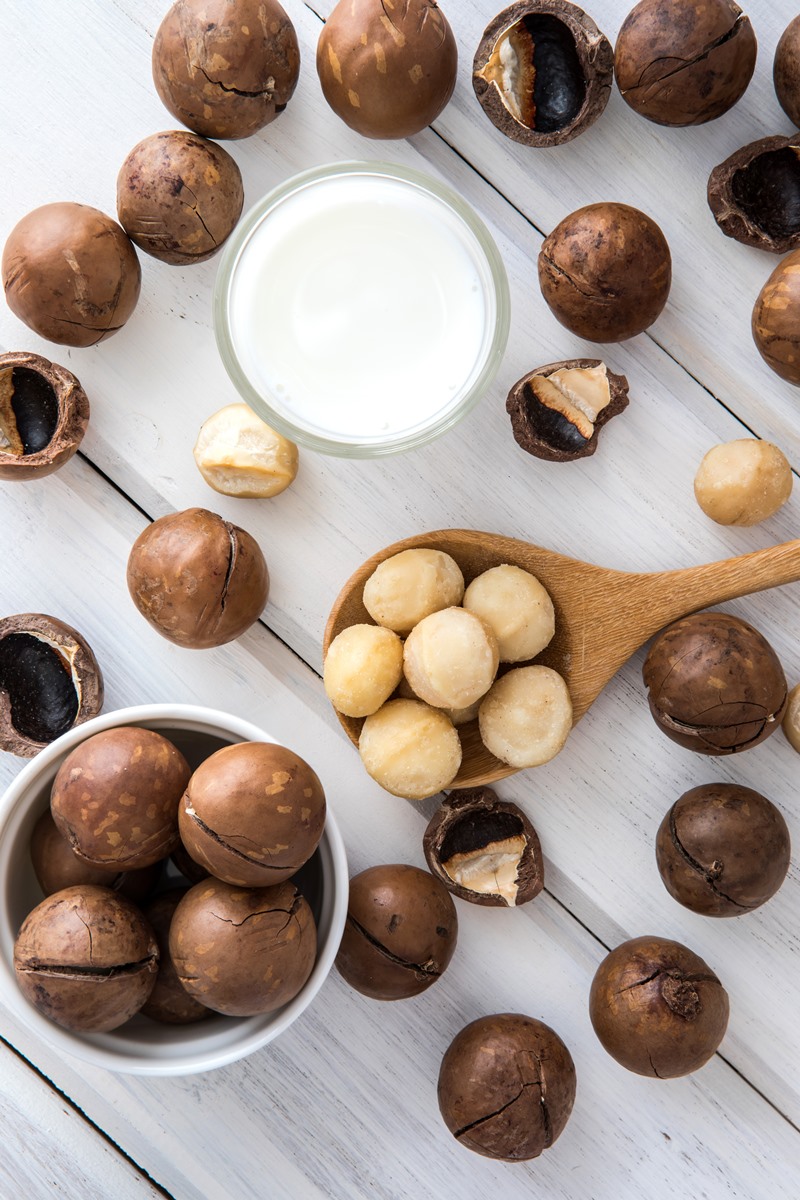 Milkadamia Macadamia Milk Review and Information - a nutty dairy-free milk beverage that's vegan and keto-friendly. We have the ingredients, ratings, and more.