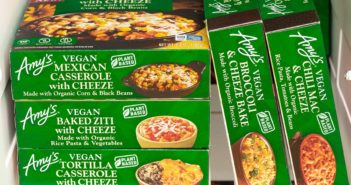 Amy's Vegan Cheeze Meals Reviews and Information (plant-based, dairy-free, organic frozen entrees). Pictured: All Dairy-Free Cheese Alternative Entrees