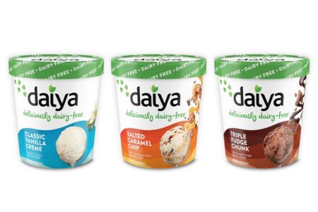 Daiya Dairy-Free Ice Cream Pints Reviews and Info - Vegan, Gluten-Free, Nut-Free, Soy-Free and made with Rich, Churned, Coconut Cream. Pictured: All