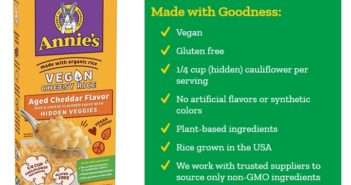 Annie's Vegan Cheesy Rice Reviews and Info - Dairy-Free, Gluten-Free Boxed Meal with Hidden Veggies and Instant Appeal
