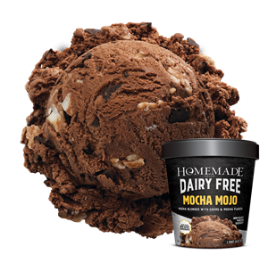 Homemade Brand Dairy-Free Ice Cream Reviews and Info - Vegan Indulgence in Seven Flavors