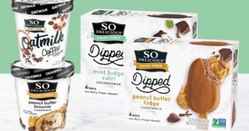 New So Delicious Frozen Dessert Products - The Latest Dairy-Free Varieties in 2021