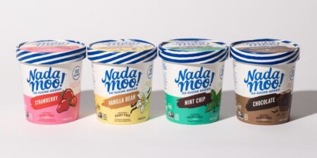 Nadamoo No Sugar Added Dairy-Free Ice Cream Reviews and Info - Vegan Frozen Dessert in 4 Classic Flavors with just 2 grams of sugar total and 10 to 13 grams of net carbs.