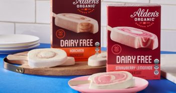 Alden's Dairy-Free Ice Cream Bars Reviews and Info - Certified Organic and Vegan - summer beverage inspired flavors: Horchata and Strawberry Lemonade