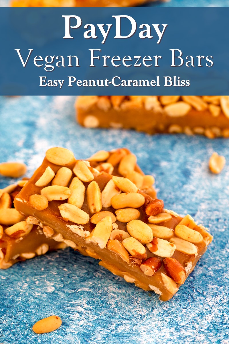 Vegan Payday Freezer Bars Recipe - A sample dairy-free, gluten-free, soy-free treat from the massive Super Vegan Scoops cookbook by Hannah Kaminsky