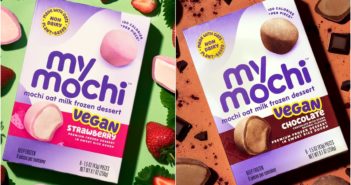 My Mochi Vegan Oat Milk Ice Cream Mochi Reviews and Info - Dairy-Free Ice Cream Bites wrapped in Chewy Mochi in 4 flavors.